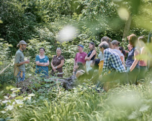 Führung: Pflanzenbegegnung im Ceres Heilpflanzengarten