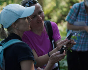 Pflanzen-Exkursion: Heilpflanzen in der Natur begegnen