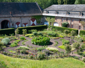 Führung: Ceres Heilpflanzengarten - Entdecken und Erleben